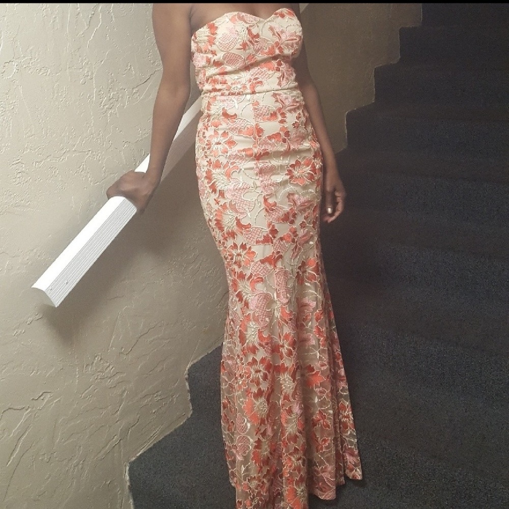 Gown Coral Pink Dress Formal Lace Embroidery Mermaid Party Wedding Prom Formal 7 - Picture 4 of 4